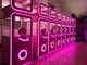 Attrezzatura rosa a gettoni di Arcade Game Capsule Toy Lottery del distributore automatico del regalo